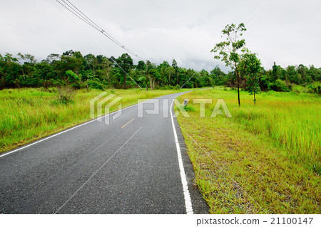 Winding Road Through a Forest 21100147