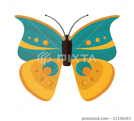 Colored cartoon butterfly vector isolated on white 21100263
