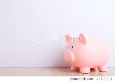 pink piggy bank 21100905