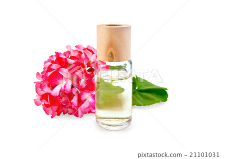 Oil with pink geraniums in glass bottle Oil with pink geraniums in glass bottle 21101031