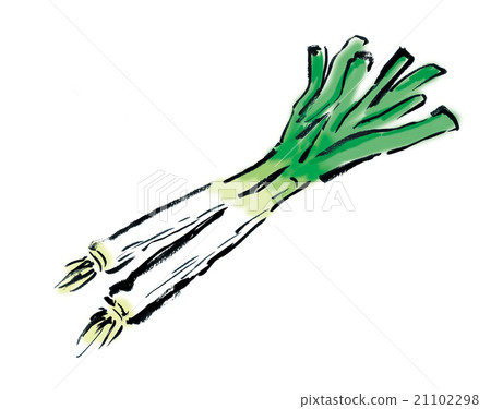 大蔥 大蔥 21102298