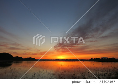 Dawn of Miyagi · Izu-numa Dawn of Miyagi · Izu-numa 21102367