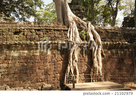 Angkor Wat Archaeological Site, Cambodia 21102979
