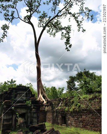Angkor Wat Archaeological Site, Cambodia 21102997