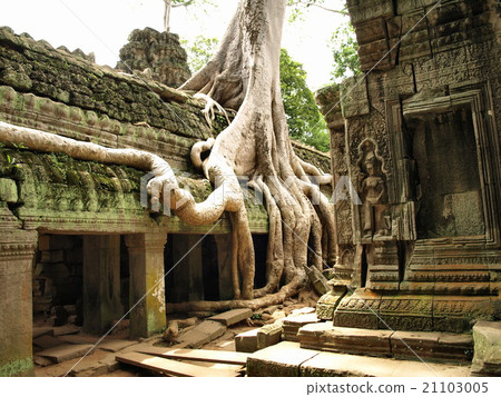 Angkor Wat Archaeological Site, Cambodia 21103005