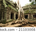 Angkor Wat Archaeological Site, Cambodia 21103008