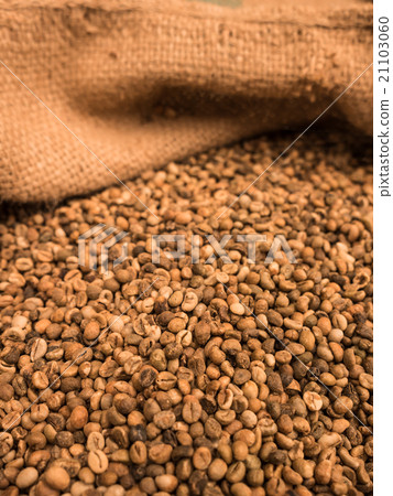 green unroasted coffee beans in sack. green unroasted coffee beans in sack. 21103060
