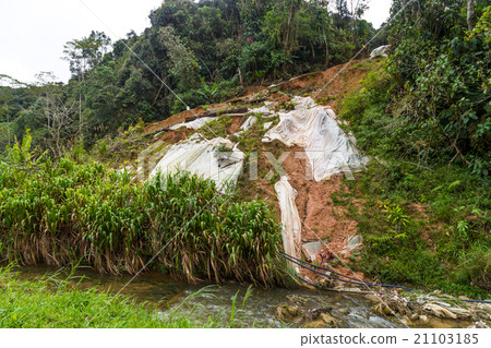 Huge plastic sheets used to halt slope erosion Huge plastic sheets used to halt slope erosion 21103185