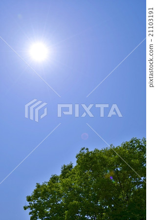 Terukitaku no Miyako Terukitaku no Miyako 21103191