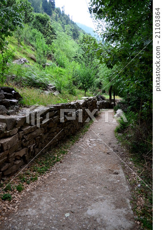 Scenery of village road of North Indian mountains Scenery of village road of North Indian mountains 21103864