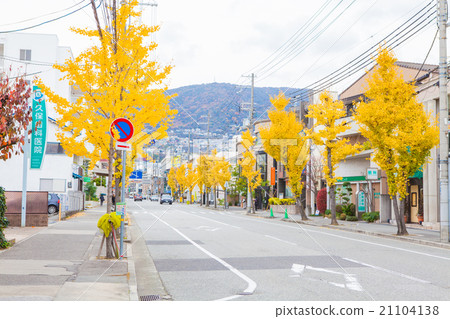 Nishinomiya Kinkiraen的街道 21104138