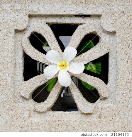 marble decorated background tiles 21104173