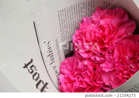 Carnation Carnation 21104273