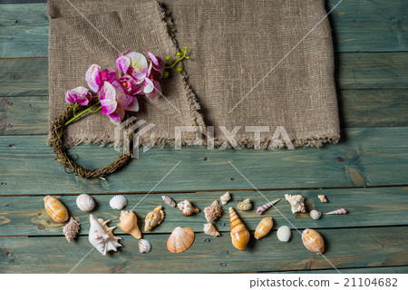 sea shells sea shells 21104682