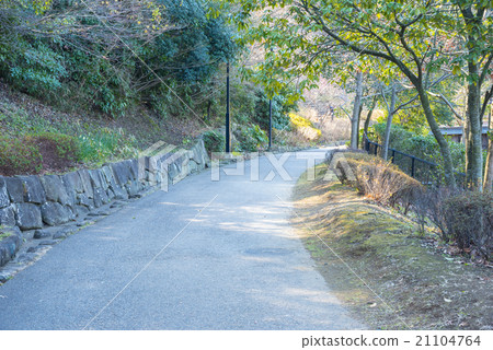 Winding countryside road 21104764
