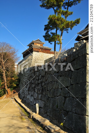 Iyo Matsuyama Castle 04 21104789
