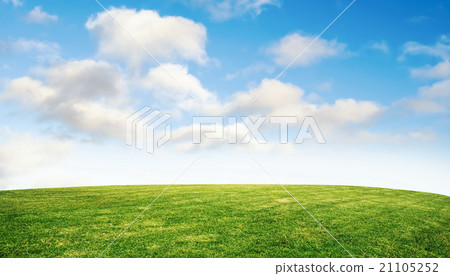 grass and sky grass and sky 21105252