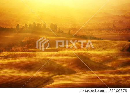 Wavy fields in Tuscany Wavy fields in Tuscany 21106778