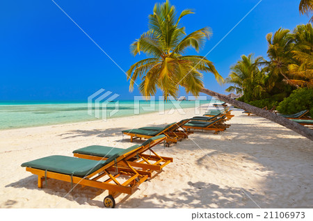 Maldives beach 21106973