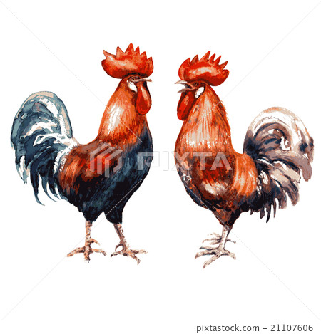 Hand drawn two red roosters 21107606