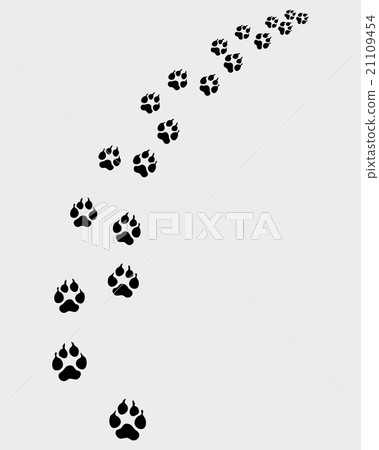trail of dog 21109454