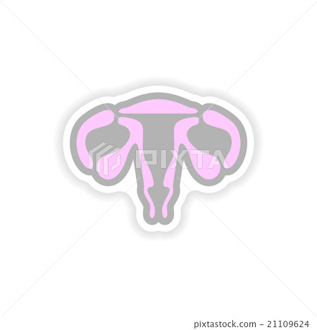paper sticker on white background woman vagina paper sticker on white background woman vagina 21109624