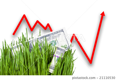 Growing Money in grass Growing Money in grass 21110530