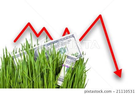 Growing Money in grass 21110531