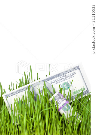 Growing Money in grass Growing Money in grass 21110532