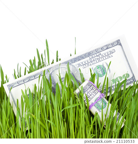 Growing Money in grass Growing Money in grass 21110533