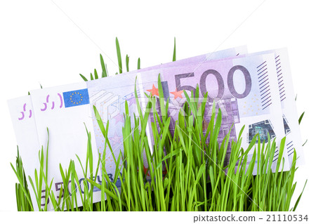 Growing Money in grass Growing Money in grass 21110534