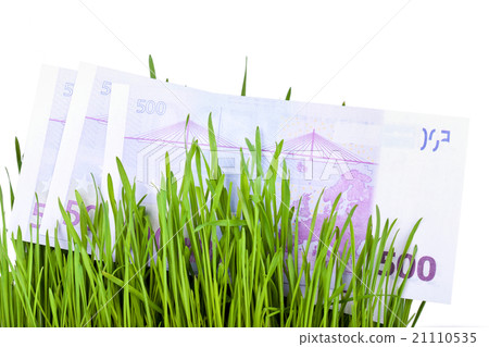 Growing Money in grass Growing Money in grass 21110535
