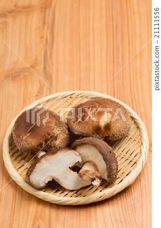 Shiitake mushroom (Yanizumaru) 21111556
