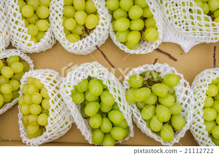 Green grape bunch Green grape bunch 21112722