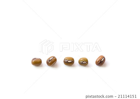 Macro mung bean isolated on white 21114151