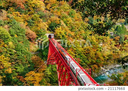 黑部峽谷鐵道 黑部峽谷鐵道 21117668