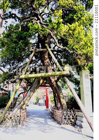 Walking in Kamakura city 21118001