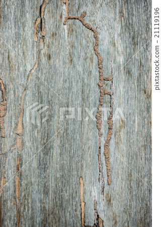 Abstract background from old wood Abstract background from old wood 21119196