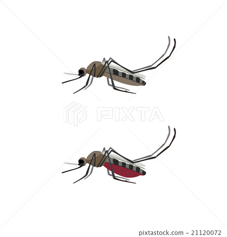 Mosquito flat icon. 21120072