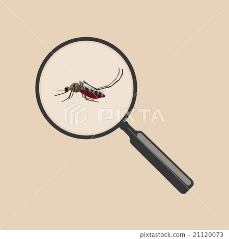 Mosquito with magnifier. 21120073