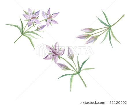 千里千秋 千里千秋 21120902