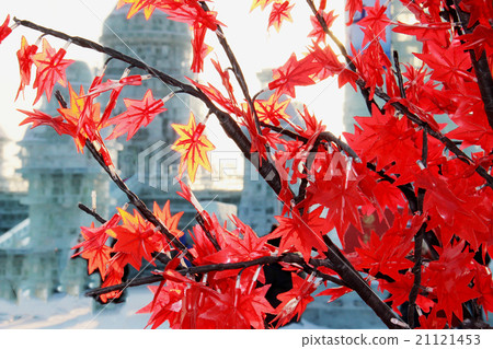 Ice buildings in sunny daylight with a red branch 21121453
