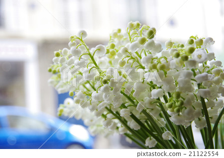 巴黎市和Suzuran市 巴黎市和Suzuran市 21122554