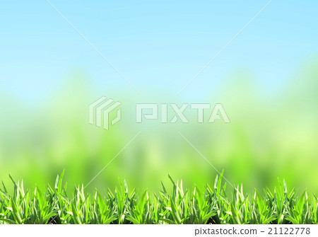 Green grass 21122778