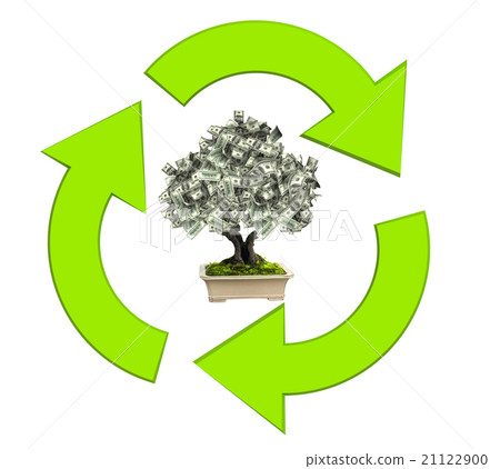 Money tree with dollar banknotes 21122900