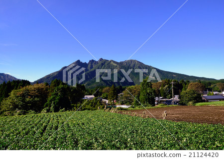 Scenery of Negikake Scenery of Negikake 21124420