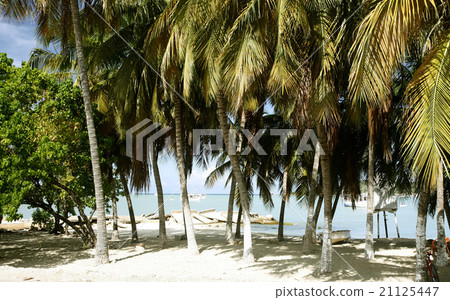 SOUTH AMERICA VENEZUELA ISLA MARGATITA  21125447