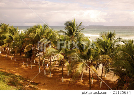 SOUTH AMERICA VENEZUELA ISLA MARGATITA GUACUCO SOUTH AMERICA VENEZUELA ISLA MARGATITA GUACUCO 21125684
