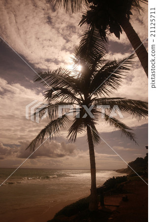SOUTH AMERICA VENEZUELA ISLA MARGATITA SOUTH AMERICA VENEZUELA ISLA MARGATITA 21125711