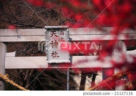 Minami Otsuya Tenjin公司的Ranmei 21127116